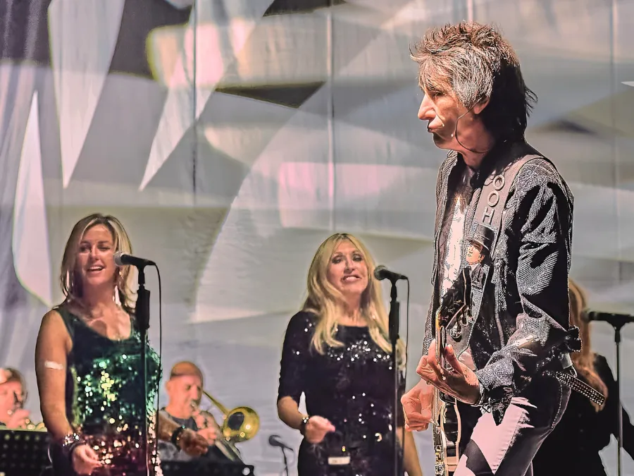 Ronnie Wood